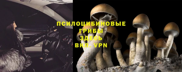 таблы Алексин