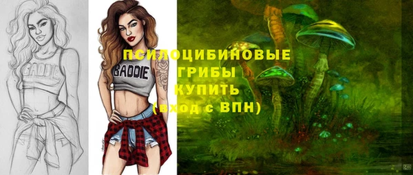 стаф Абдулино