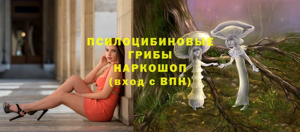 таблы Алексин